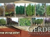 11065_PALLET Mailer.indd